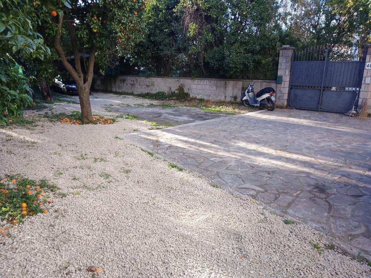 Domino House Montariello Daire Sorrento Dış mekan fotoğraf